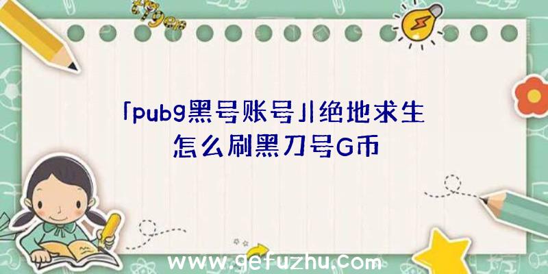 「pubg黑号账号」|绝地求生怎么刷黑刀号G币